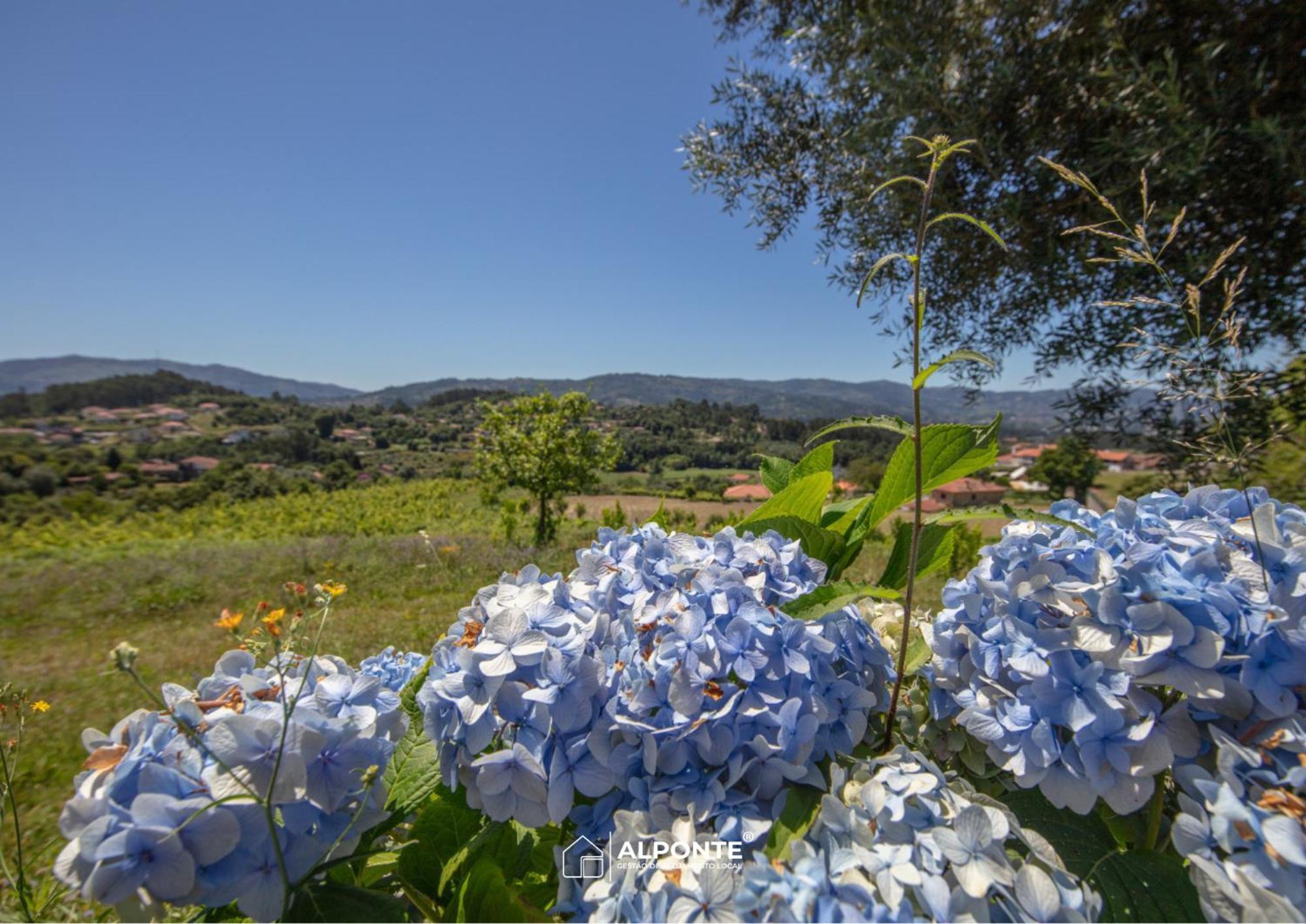 Quinta Da Costeira - Casa Azul Do Limoal By Alponte Villa Arcos de Valdevez